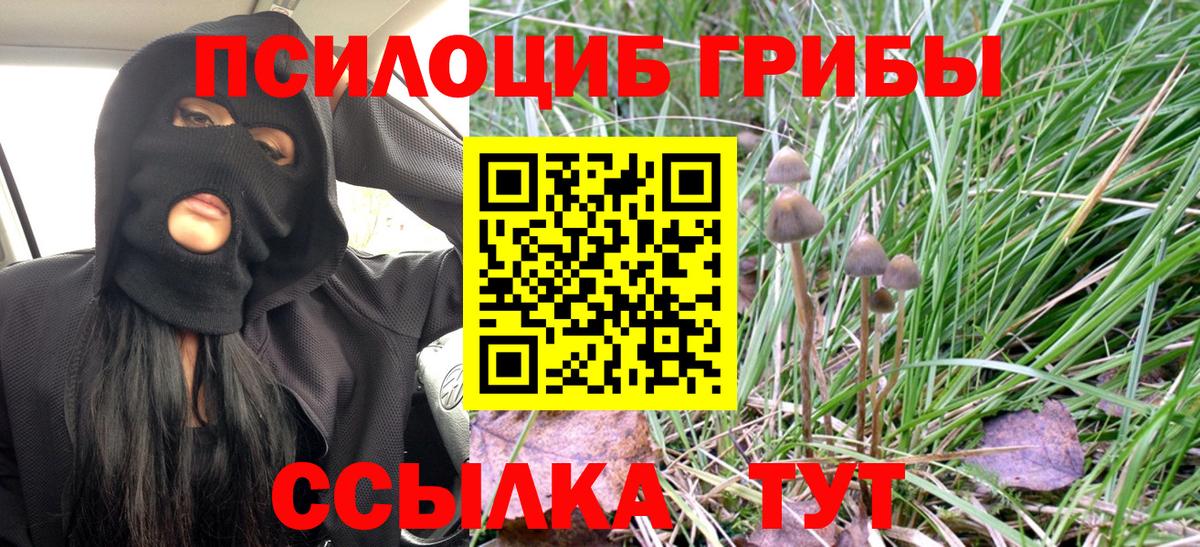 Шахты  Галлюциногенные грибы прущие грибы  Вход с VPN 